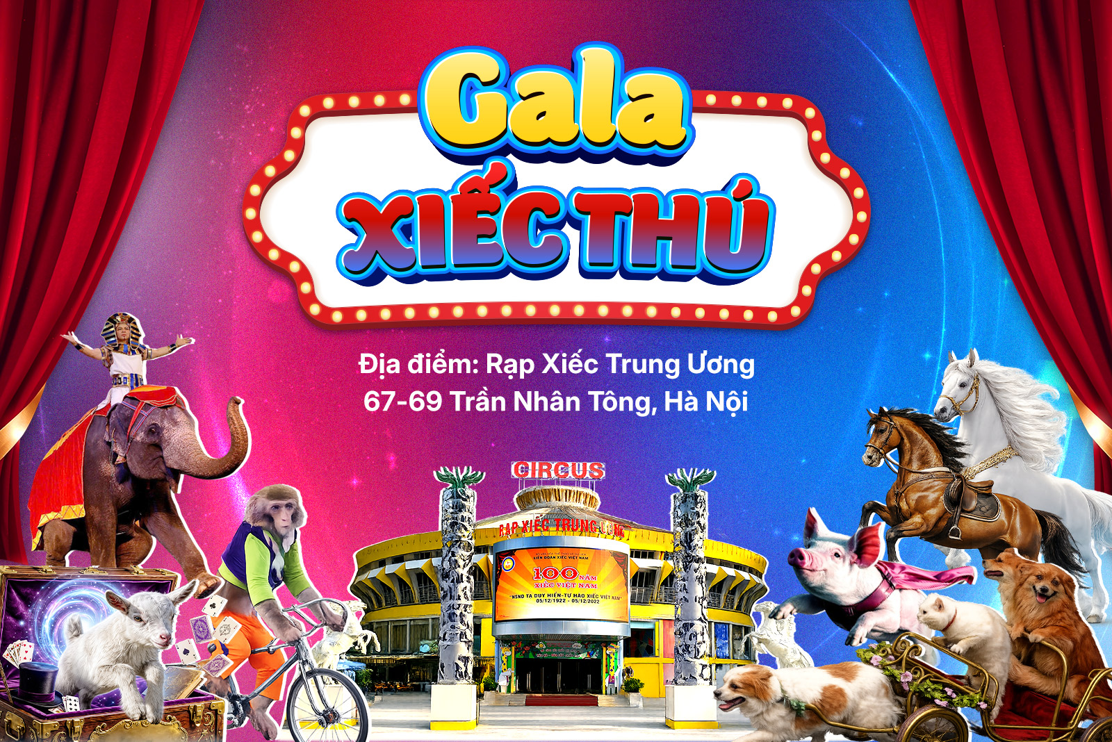Biểu diễn xiếc